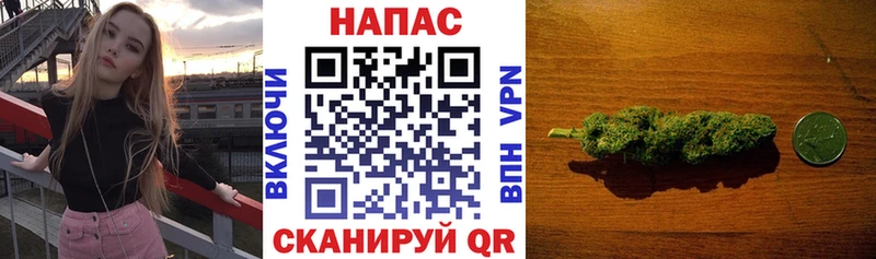 Что такое Кедровый АМФ Гашиш MDMA Cocaine