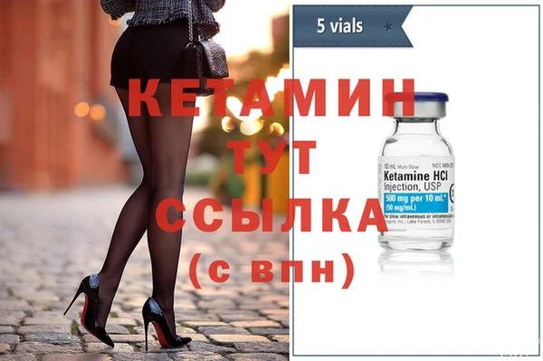 индика Осинники