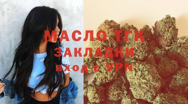 индика Осинники