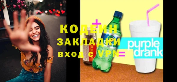 индика Осинники