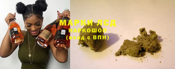 apvp Гвардейск