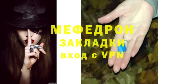 индика Осинники