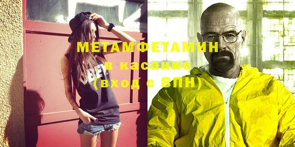 индика Осинники
