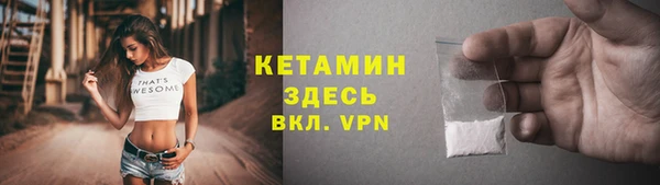 индика Осинники