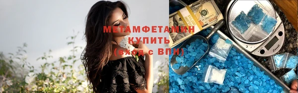 индика Осинники
