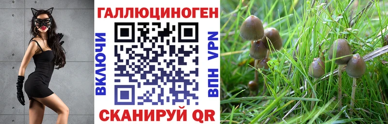 Псилоцибиновые грибы мухоморы  hydra ССЫЛКА  Кедровый 